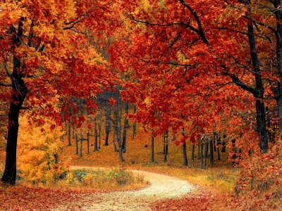 herfst-electro-medico2